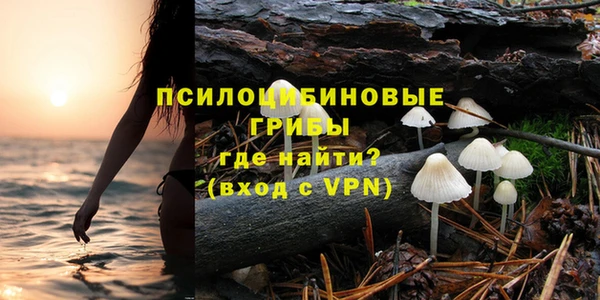 СК Надым
