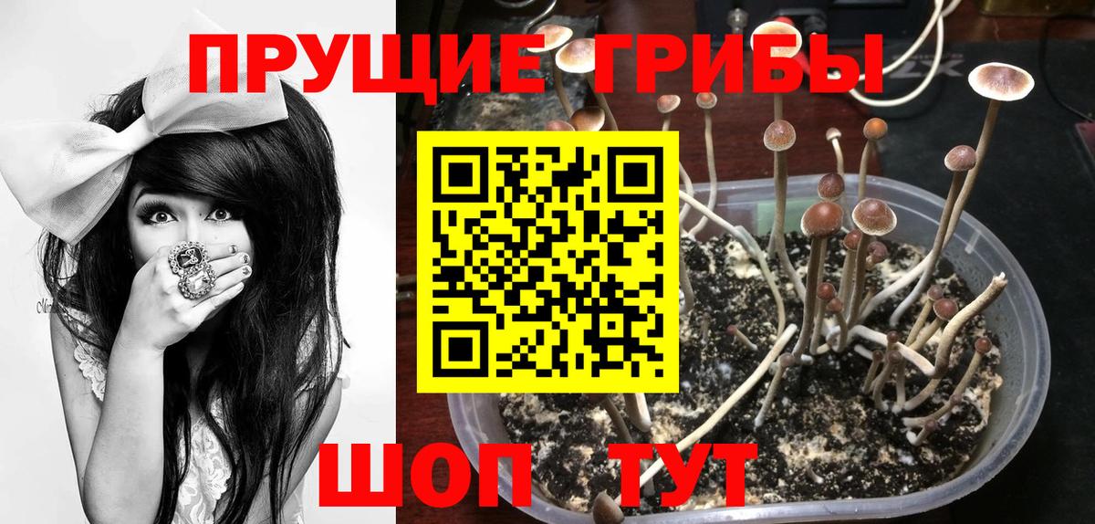 Галлюциногенные грибы Psilocybine cubensis  Вход с VPN  Советский 