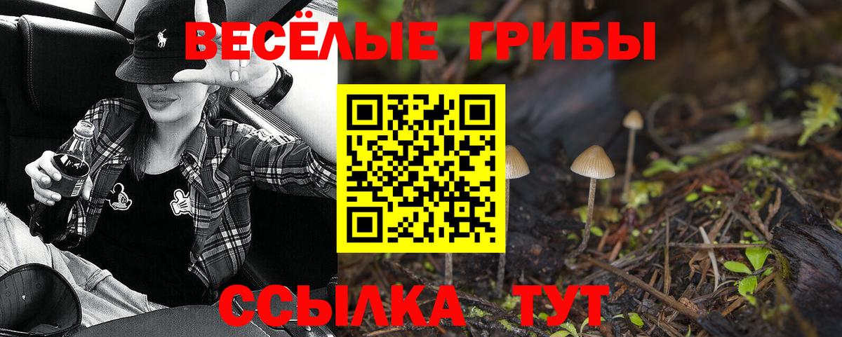 Псилоцибиновые грибы GOLDEN TEACHER Советский