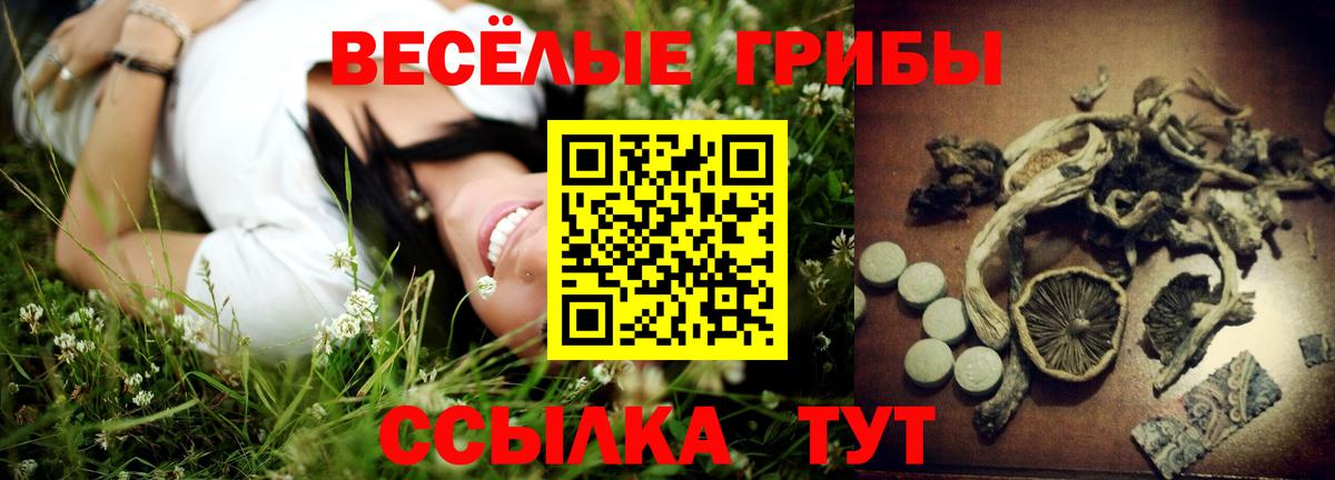 Галлюциногенные грибы Cubensis  Галлюциногенные грибы мицелий  Советский 